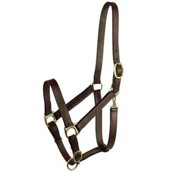 Stable Halter with Snap - Brown - Large - 1 Count - Durable Leather