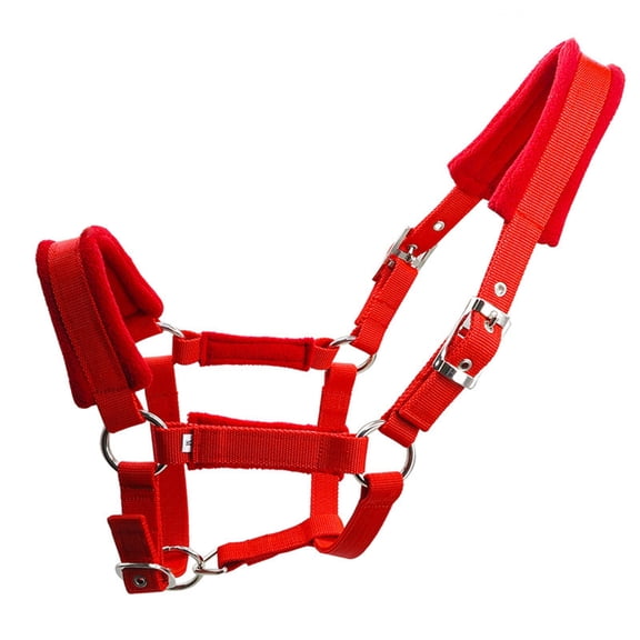 Stable Metal Horse Headstall With Eye Hook For Secure Cycling And Training