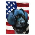 thumbnail image 1 of Stabyhoun Dog American Flag Garden Flag, 1 of 3