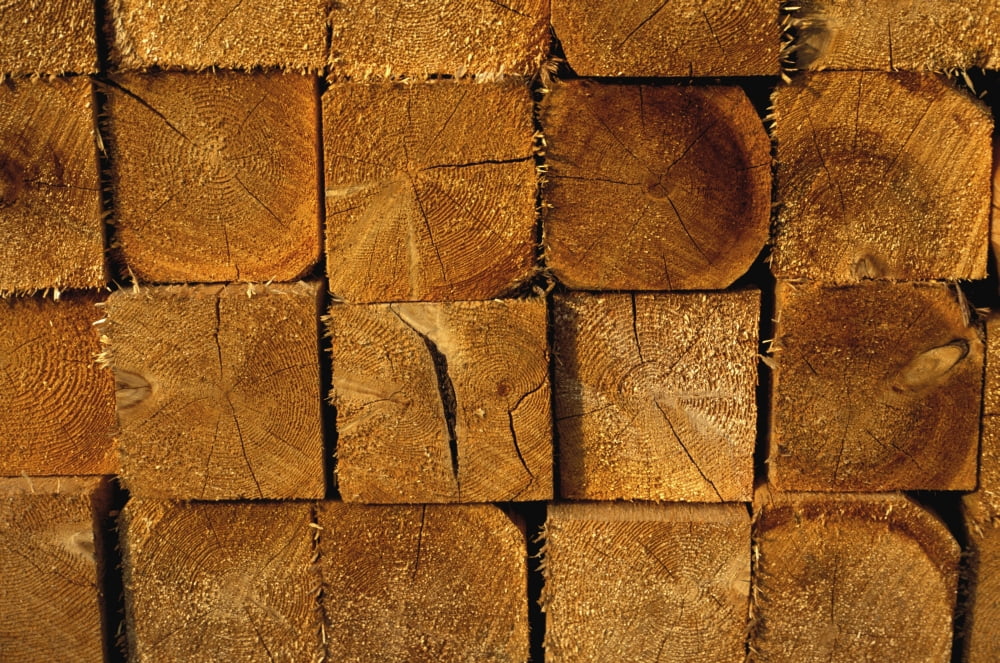 Stack Of Logs Canvas Art - David Chapman Design Pics (17 x 11)