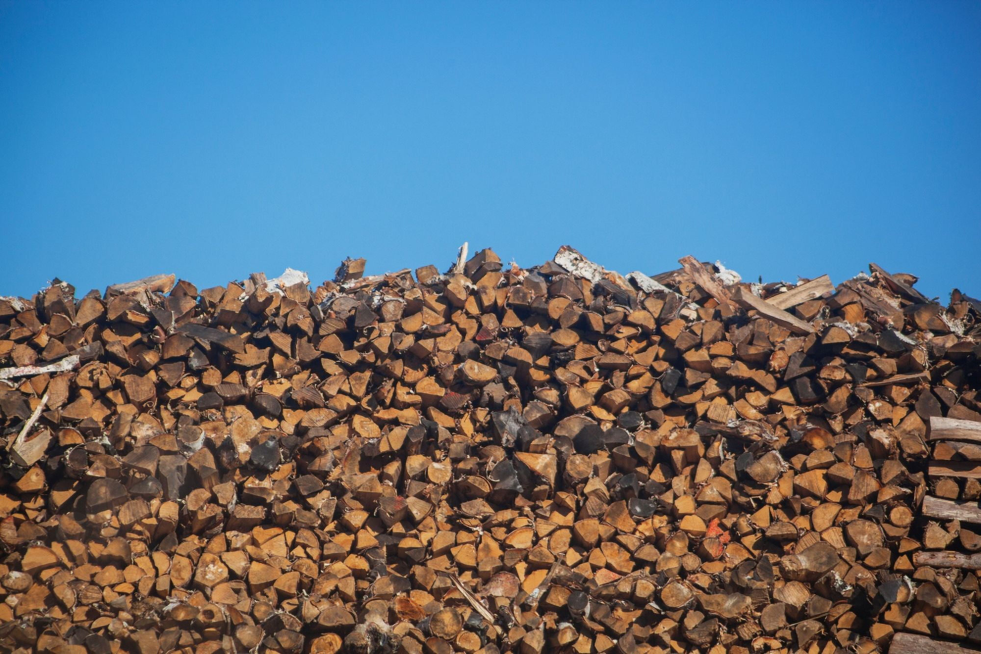 Stack of firewood pile against blue sky Canvas Art - Panoramic Images (24 x 36)