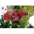 thumbnail image 1 of Hi-Line Gift Ltd 85187-E Stacking Cardinals Christmas Decor with LED Lights Battery Operated Indoor Use Only, 1 of 8
