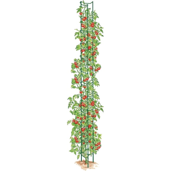 Stacking Tomato Ladder Stakes (Green)