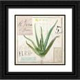 thumbnail image 1 of Staehling, Angela 12x12 Black Ornate Wood Framed with Double Matting Museum Art Print Titled - Aloe Vera-Sketchbook, 1 of 4