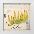 thumbnail image 1 of Staehling, Angela 26x26 White Modern Wood Framed Museum Art Print Titled - Sedium-Sketchbook, 1 of 4