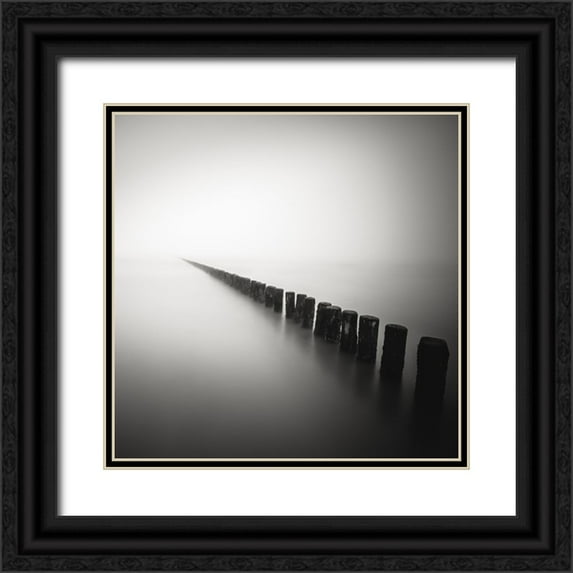 Staelens, Christophe 15x15 Black Ornate Wood Framed with Double Matting Museum Art Print Titled - Together Alone