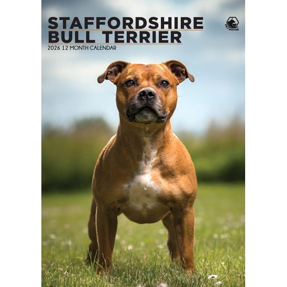Staffordshire Bull Terrier Calendar 2026 A Year of Strength, Loyalty & Smiles (SIZE A3)
