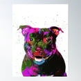 thumbnail image 1 of Staffordshire Bull Terrier Pop Art Portrait Poster Wall Art, Modern Wall Decor For Living Room Bedroom, 8x12 UNFRAMED, 1 of 2