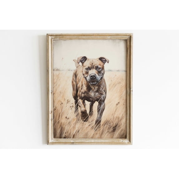 Staffordshire Bull Terrier Staffy Dog Portrait Wall Decor, Unframed Canvas 12x16in