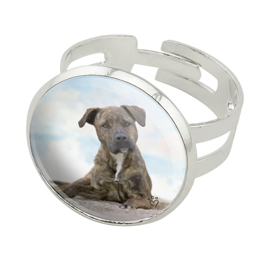 Sandy staffy hot sale