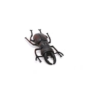 Stag Beetle, Lucanus cervus, Realistic Rubber Model, Bug, Insect, Educational, Hand Painted, Figure, Lifelike, Model, Figurine, Replica, 2 3/4 Inches. CWG03 B13