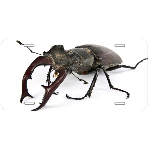 Stag Beetle Novelty Car Auto License Plate