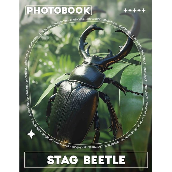 Stag Beetle Photo Book: Explore 40 Stunning Images Of This Majestic Insect, Perfect For Entomology Enthusiasts And Natur, (Paperback)