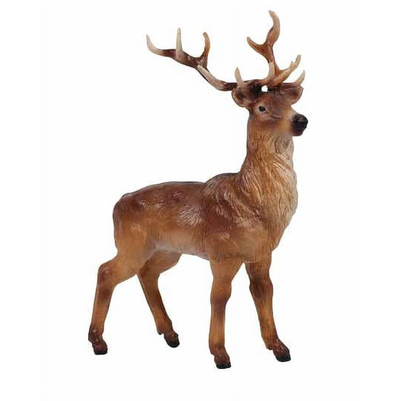 Stag