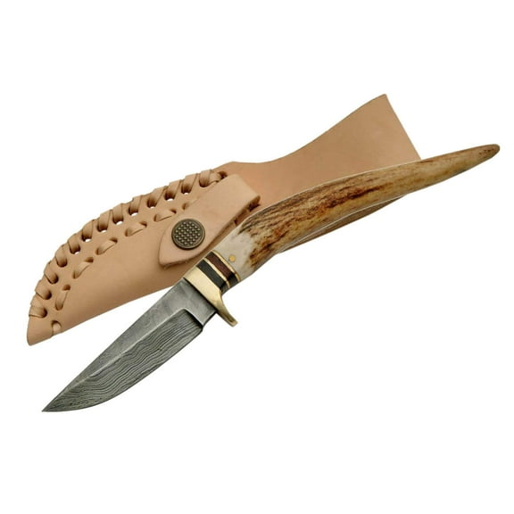 SANZ 8" Stag Handle Damascus Steel Fixed Blade Outdoor Knife with Leather Sheath