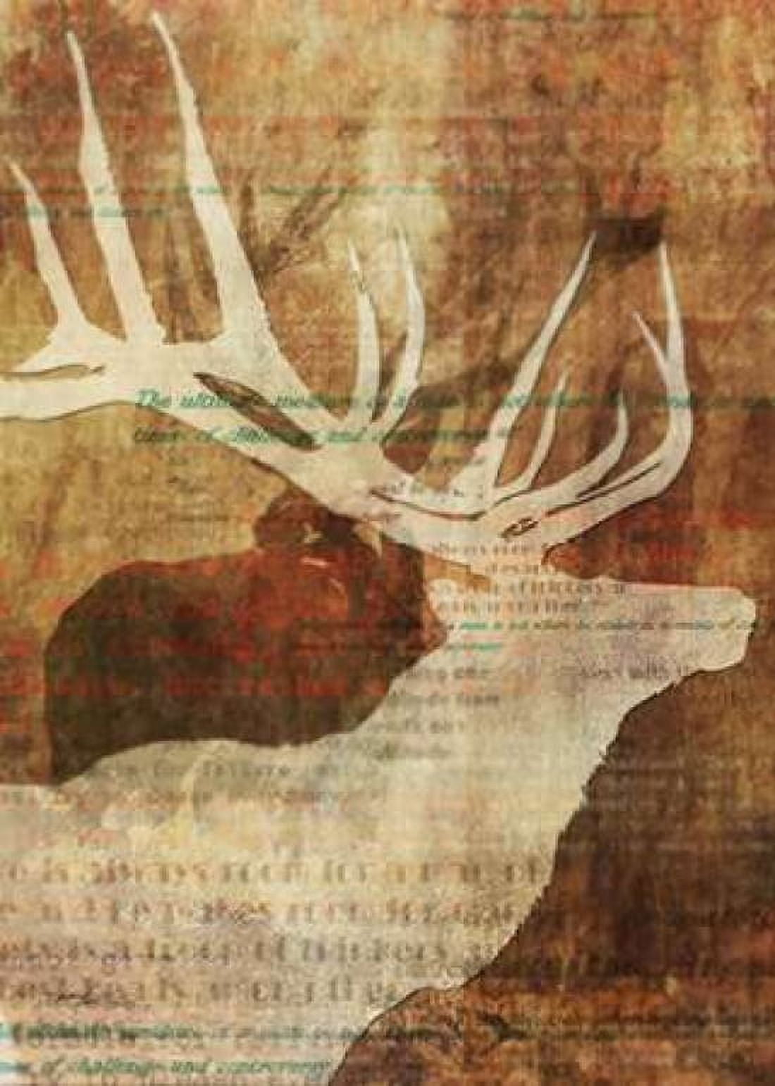 Stag Story 1 Canvas Art - Ken Roko (20 x 28)