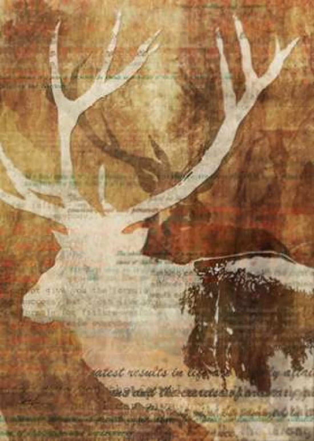 Stag Story 2 Canvas Art - Ken Roko (20 x 28)
