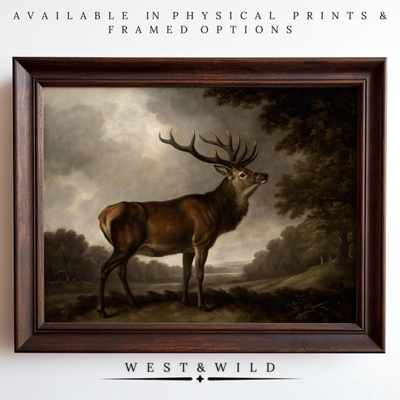 Stag Wall Art Of Majestic Red Deer With Impressive Antlers And Moody Forest Landscape For Rustic Cabin And Traditional Home Deco, Unframed Paper Print