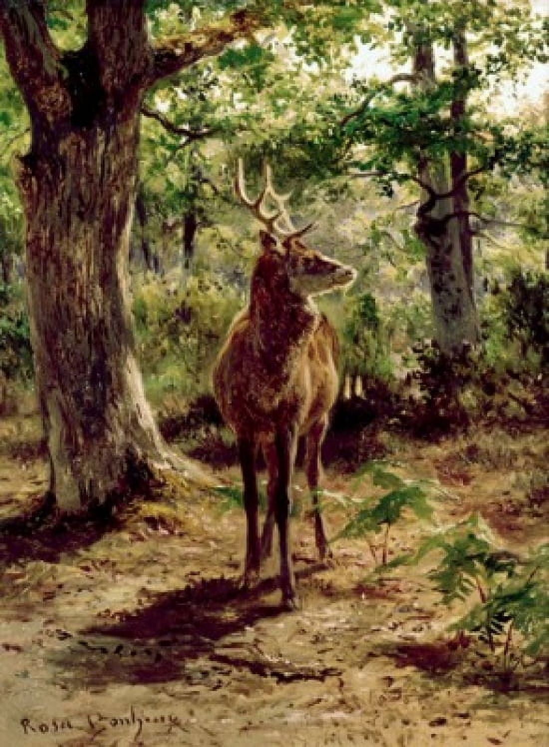 Stag on Alert In Wooded Clearing Rosa Bonheur (1822-1899 French) Canvas Art - Rosa Bonheur (18 x 24)