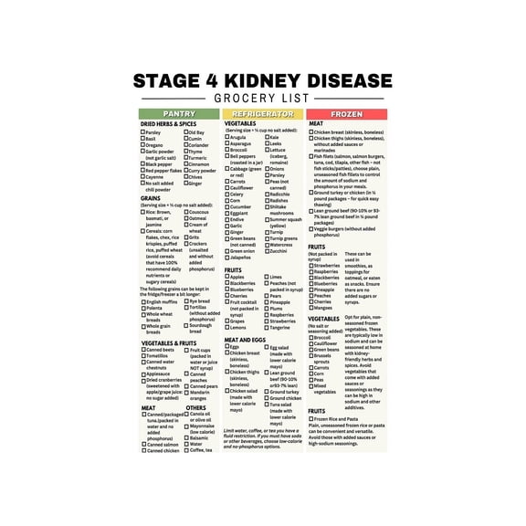 Stage 4 Kidney Disease Food List Metal Sign Renal Diet Guide Kidney Friendly Foods Chart for Home Kitchen Clinic 12x8 Inch