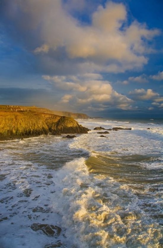 Stage Cove Near Bunmahon The Copper Coast County Waterford Ireland Canvas Art - Panoramic Images (24 x 36)