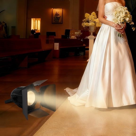 Stage Light with Barn Doors COB LED Spotlights Warm & Cold White Par Light 200W