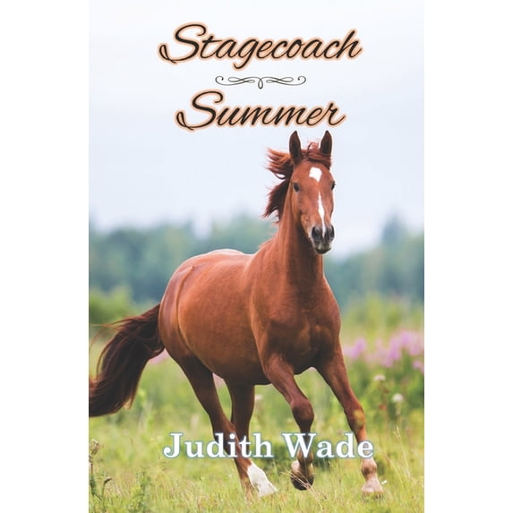 Stagecoach Summer, (Paperback)