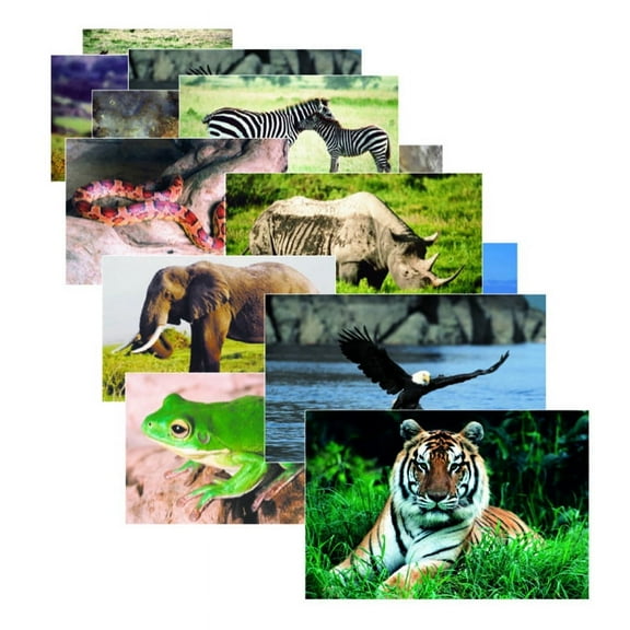 Stages Learning Materials Wild Animals Poster Set, Set of 10