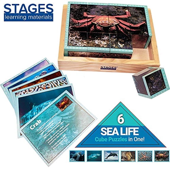 Stages Learning Real Picture Sea Life Wooden Cube Language Builder Preschool Puzzle (12 Piece)