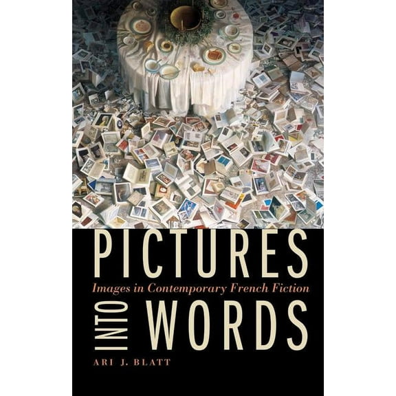 Stages: Pictures into Words : Images in Contemporary French Fiction (Hardcover)