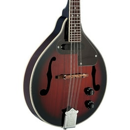 Best mandolin strings for bluegrass hotsell