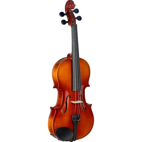 Stagg 3/4 Maple Violin w/ Soft-Case - VN-3/4 L
