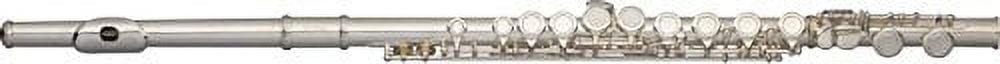 Stagg C Flute Closed Holes Silver Plated - WS-FL111