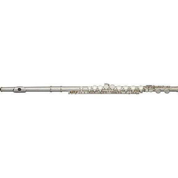 Stagg C Flute Closed Holes Silver Plated - WS-FL111