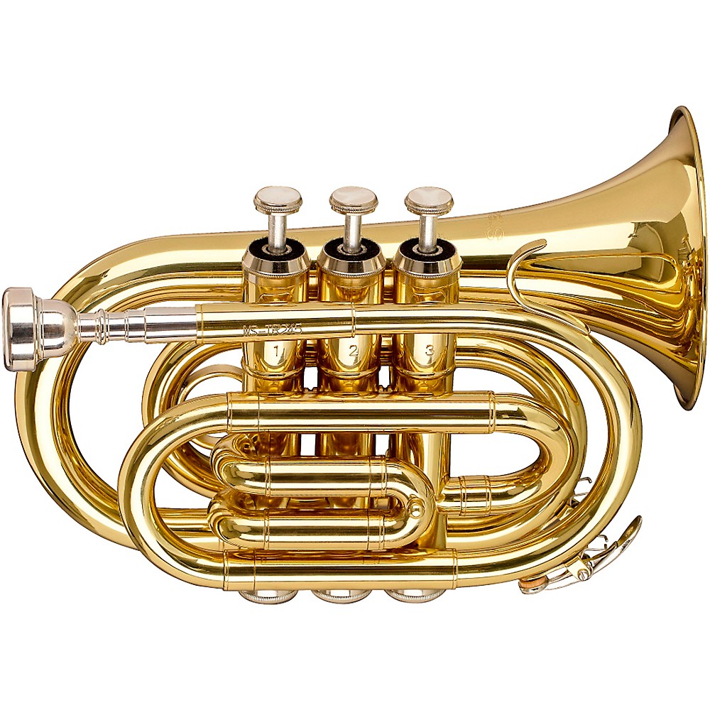 Stagg WS-TR245S Series Bb Pocket Trumpet Clear Lacquer - image 1 of 1