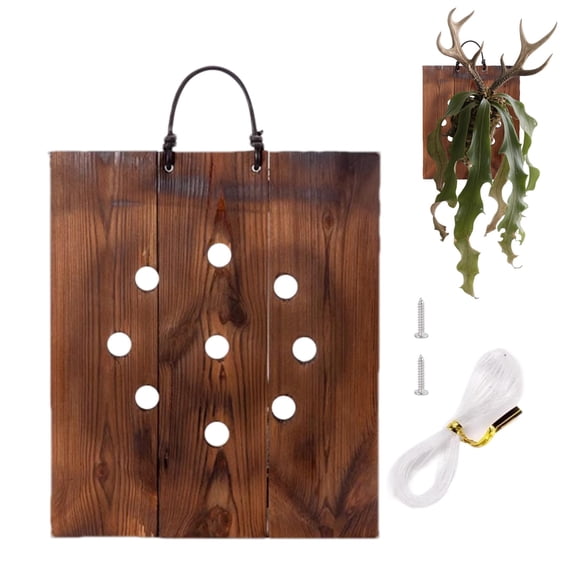 Staghorn Fern Mounting Kit, Hangable Wall Plate—Vertical Air Plant Planter for Indoor Bedroom, Kitchen, Sunroom, Hallway, and Workplace