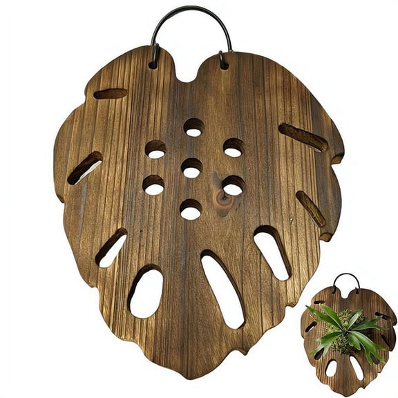 Staghorn Fern Mounting kit | Wall Hanging Board Vertical Plant Holder for Orchids Climbing Plants-13*11in