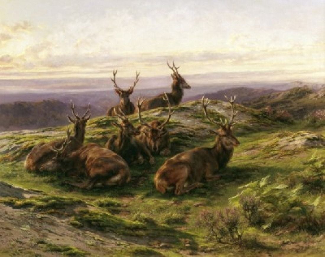 Stags at Rose Rosa Bonheur (1822-1899 French) Canvas Art - Rosa Bonheur (24 x 36)