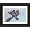 thumbnail image 1 of Stahl, Peter 24x17 Black Ornate Wood Framed with Double Matting Museum Art Print Titled - My Prize., 1 of 4