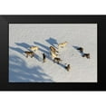 thumbnail image 1 of Stahler, Dan 18x13 Black Modern Framed Museum Art Print Titled - Junction Butte Wolf Pack, Yellowstone National Park, 1 of 4