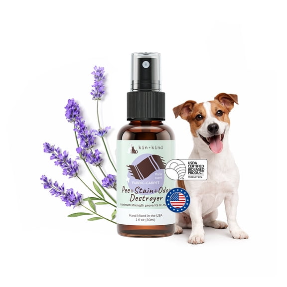 Stain & Odor Fabric & Carpet Mini Spray