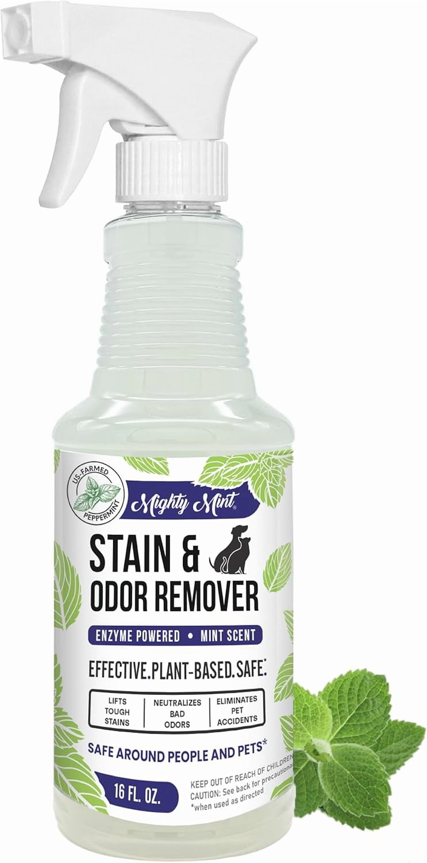 Stain & Odor Remover, Natural Enzyme Spray Safely Neutralizes Odor and Stains from Dogs, Cats on Carpet, Furniture, Natural Peppermint Scent, 16oz