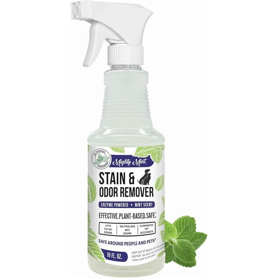 Stain & Odor Remover, Natural Enzyme Spray Safely Neutralizes Odor and Stains from Dogs, Cats on Carpet, Furniture, Natural Peppermint Scent, 16oz