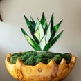 thumbnail image 1 of Stained Glass Suncatcher for Pot Plant Decoration 4 Inch 2D Flat Artificial Plant, 1 of 6