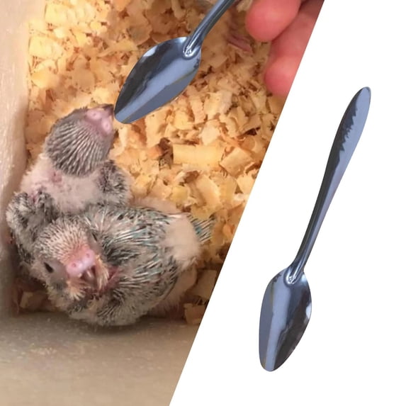 Stainless Feeding Spoon for Parrots, Lightweight Bird Feeding Utensil, Small Spoon Head for Precise Feeding, Multi-Purpose Pet Bird Spoon, Durable and Easy to Use