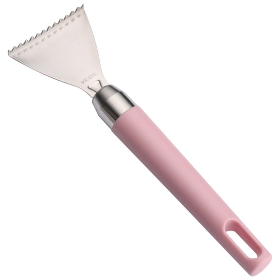 Stainless Fish Descaler, Oimcto Manual Fish Scale Remover, Serrated Edge, Ergonomic Non-Slip Handle, Rustproof for Home Kitchen & Outdoor Fishing, Easy to Clean, 1 Pc