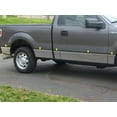 thumbnail image 1 of Stainless Rocker Panel Trim 10Pc Fits 2009-2014 Ford F-150 TH49308 QAA, 1 of 4