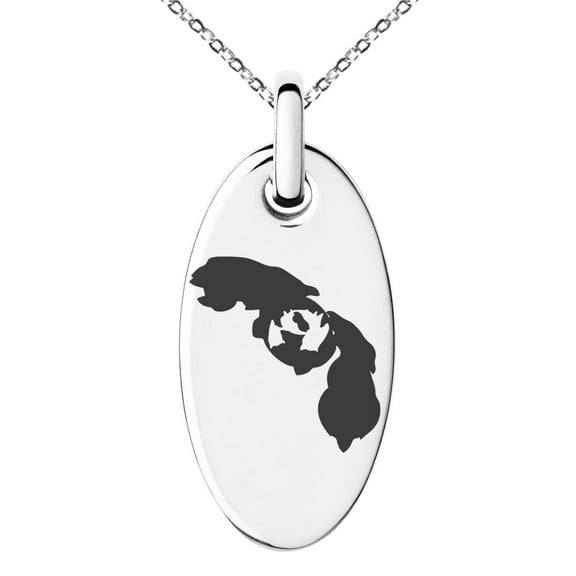 Tioneer Stainless Steel 3rd Gen Beldum Metang Metagross Pokémon Engraved Small Oval Charm Pendant Necklace