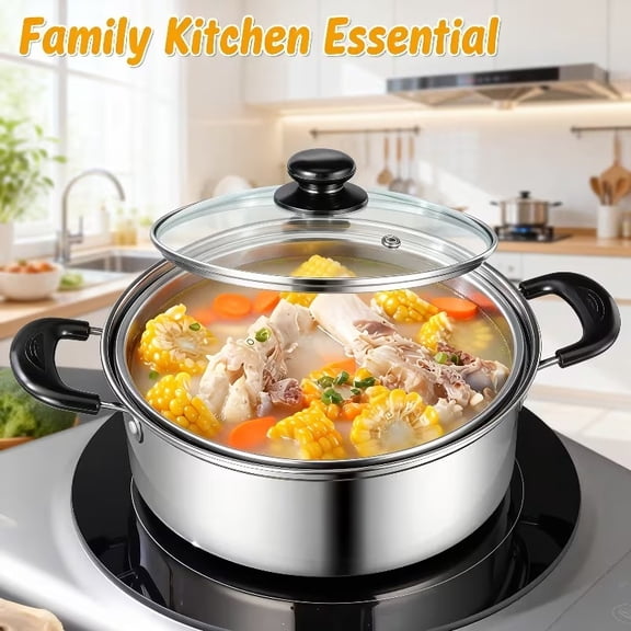 Stainless Steel 4-Cup Multifunctional Egg Cooker for Boiling, Steaming, and Heating with Glass Lid  Compatible with Induction & Gas Stoves