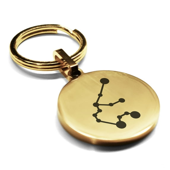 Stainless Steel Aquarius (Water Bearer) Astrology Constellation Round Medallion Keychain Circle Ring